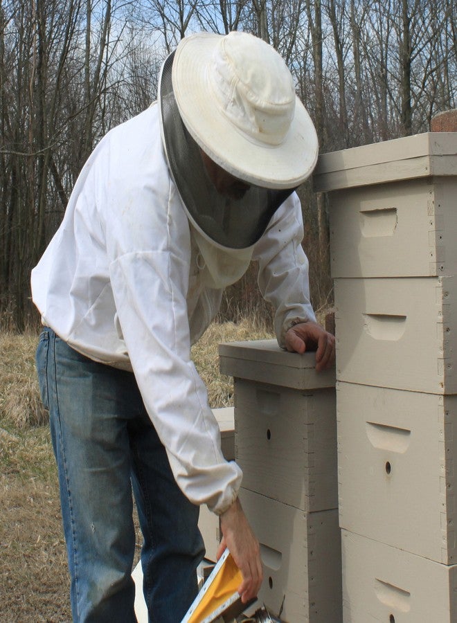 Beessential All Natural Foaming Hand Soap, Peppermint Essential Oils, Made with Moisturizing Aloe & Honey - Made in the USA, 16 oz - Image 4